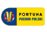 波兰杯Logo