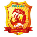 武汉队队徽logo